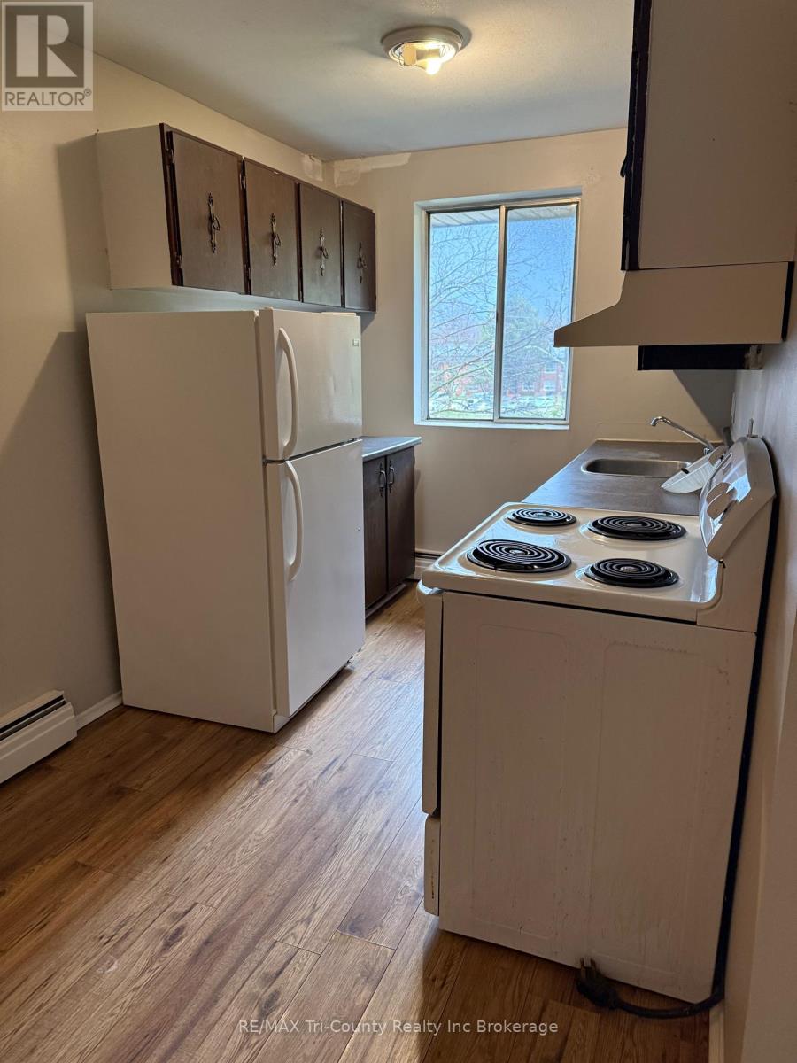 #302 191 LISGAR AVENUE - 3
