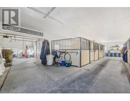 5735 Concession Rd 6, Adjala Tosorontio, ON L0M1J0 Photo 11