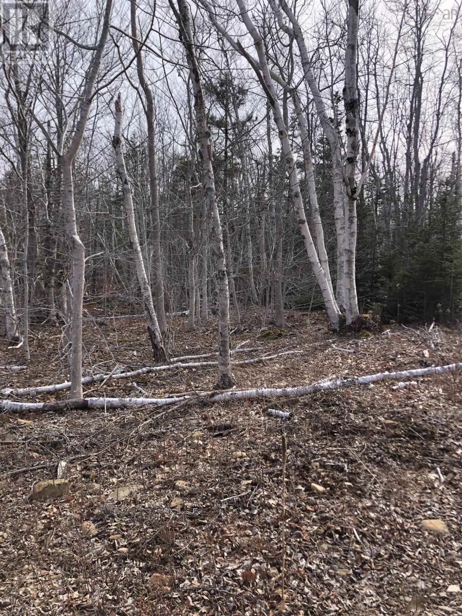 Property 22 of 23 of Lot Lighthouse Road