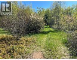 Lots Mooney Creek, Richibucto, NB E4W3Z5 Photo 14
