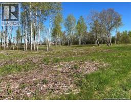 Lots Mooney Creek, Richibucto, NB E4W3Z5 Photo 11