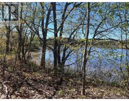 Lots Mooney Creek, Richibucto, NB E4W3Z5 Photo 17