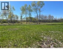 Lots Mooney Creek, Richibucto, NB E4W3Z5 Photo 9