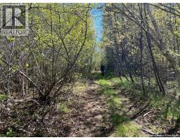 Lots Mooney Creek, Richibucto, NB E4W3Z5 Photo 15