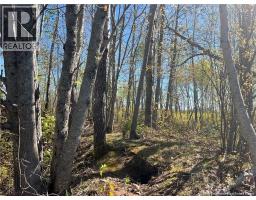 Lots Mooney Creek, Richibucto, NB E4W3Z5 Photo 16