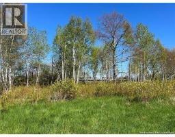 Lots Mooney Creek, Richibucto, NB E4W3Z5 Photo 28