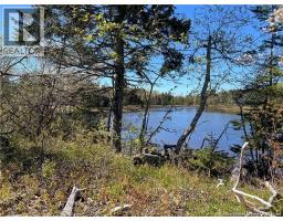 Lots Mooney Creek, Richibucto, NB E4W3Z5 Photo 21