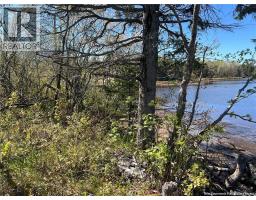 Lots Mooney Creek, Richibucto, NB E4W3Z5 Photo 23