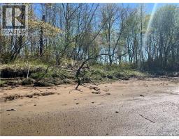 Lots Mooney Creek, Richibucto, NB E4W3Z5 Photo 19