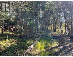 Lots Mooney Creek, Richibucto, NB E4W3Z5 Photo 27