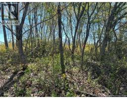 Lots Mooney Creek, Richibucto, NB E4W3Z5 Photo 20
