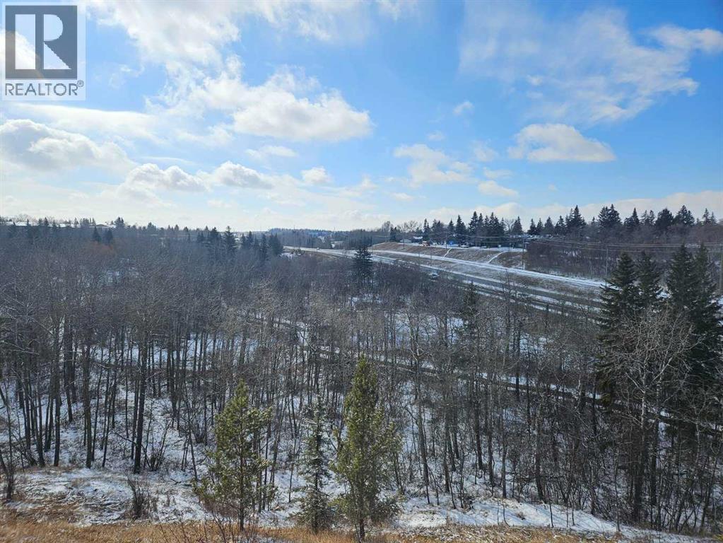 5217 39 Street, Red Deer