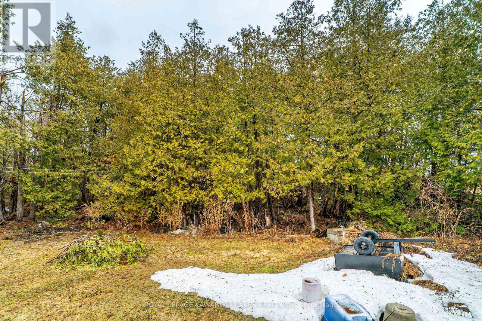 70 BLYTHE SHORE ROAD - 24