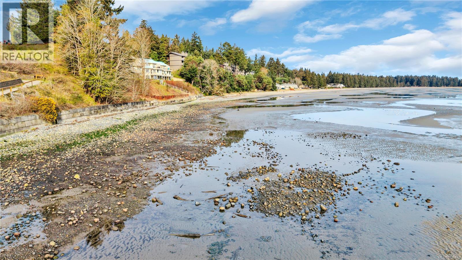 #6 1175 RESORT DR - 55