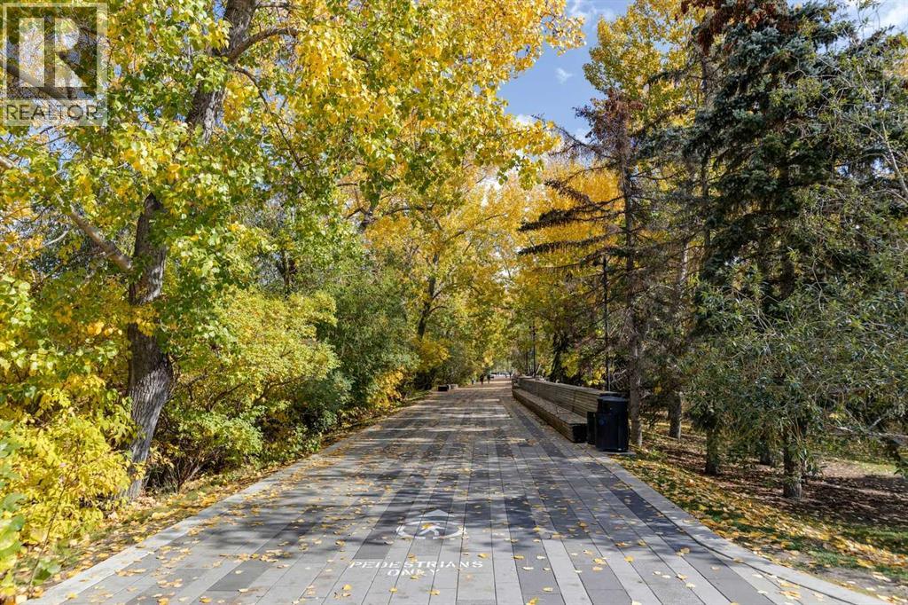 Single Family House for Sale in   Princeton Way SW Eau Claire Calgary 