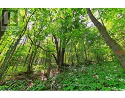 1614 Nottawasaga Concession Rd 10, Clearview, ON N0C1M0 Photo 38