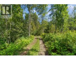 Lot 4 Queest N. Bay, Sicamous, BC V0E2V0 Photo 6
