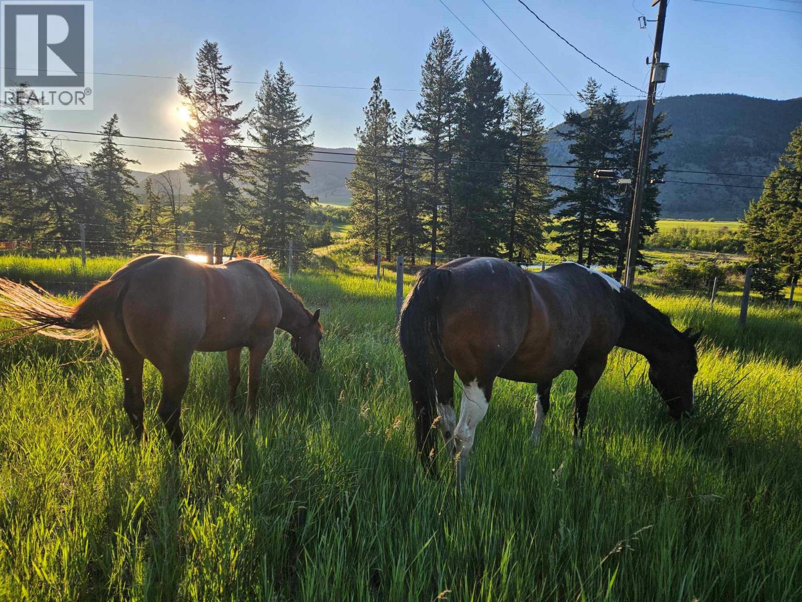  6668 Kamloops Vernon (HWY 97) Highway, Westwold