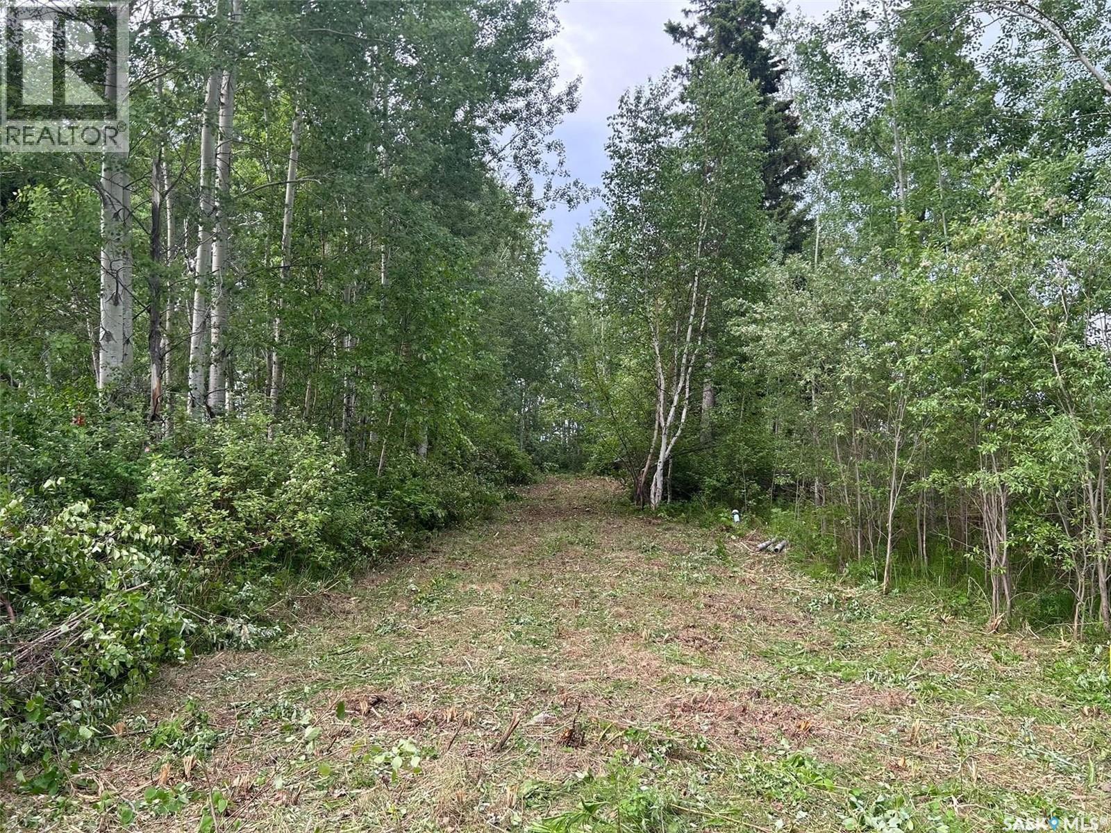 2 Canoe ROAD — photo 2