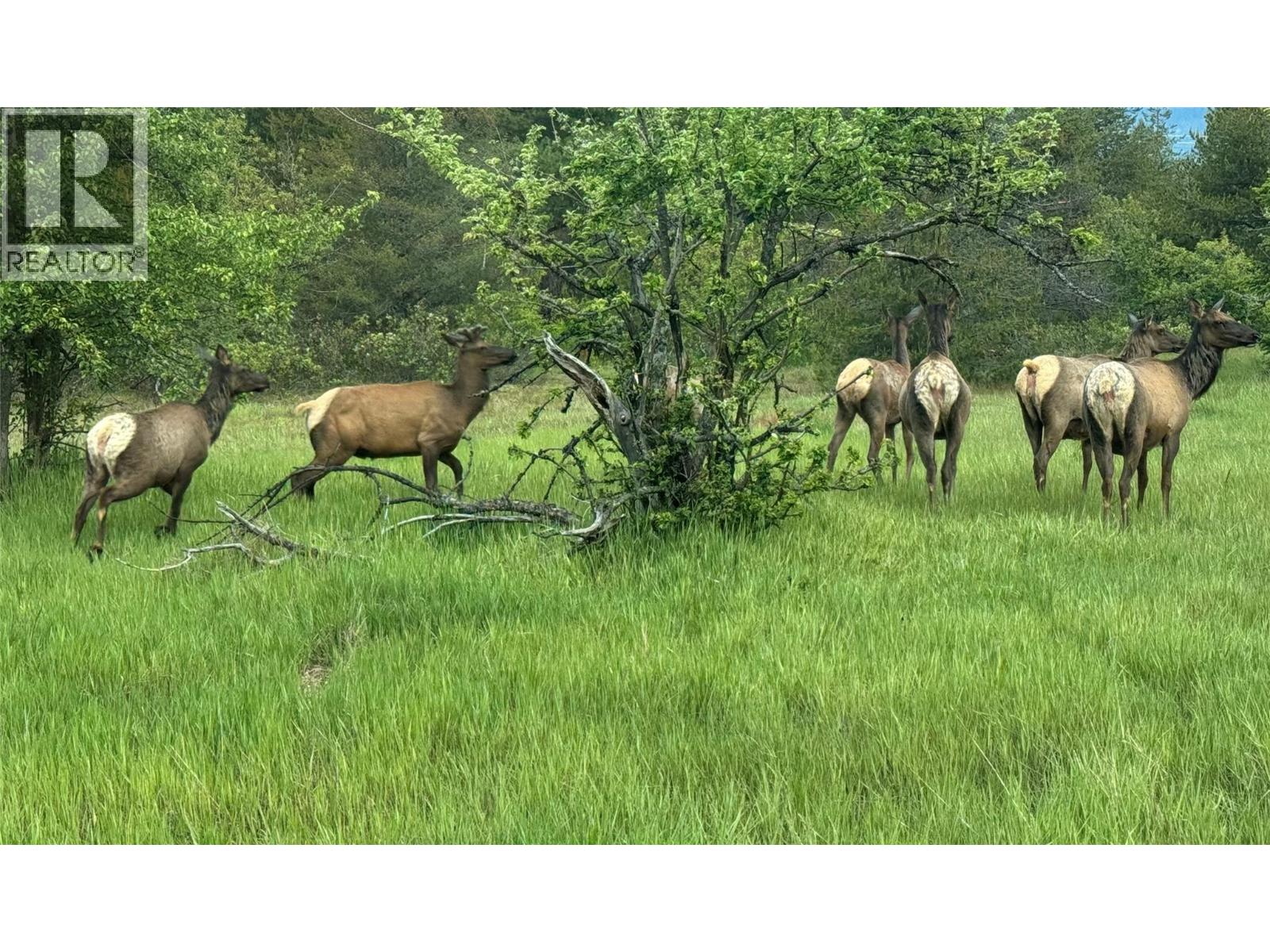  1864 Highway 3A Other, Castlegar