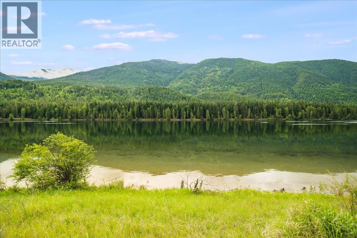  1864 Highway 3A Other, Castlegar