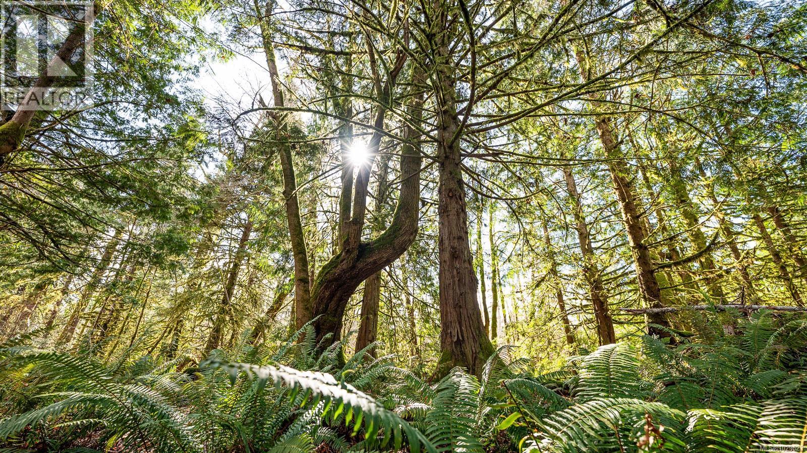 8131 Macartney Dr, Fanny Bay