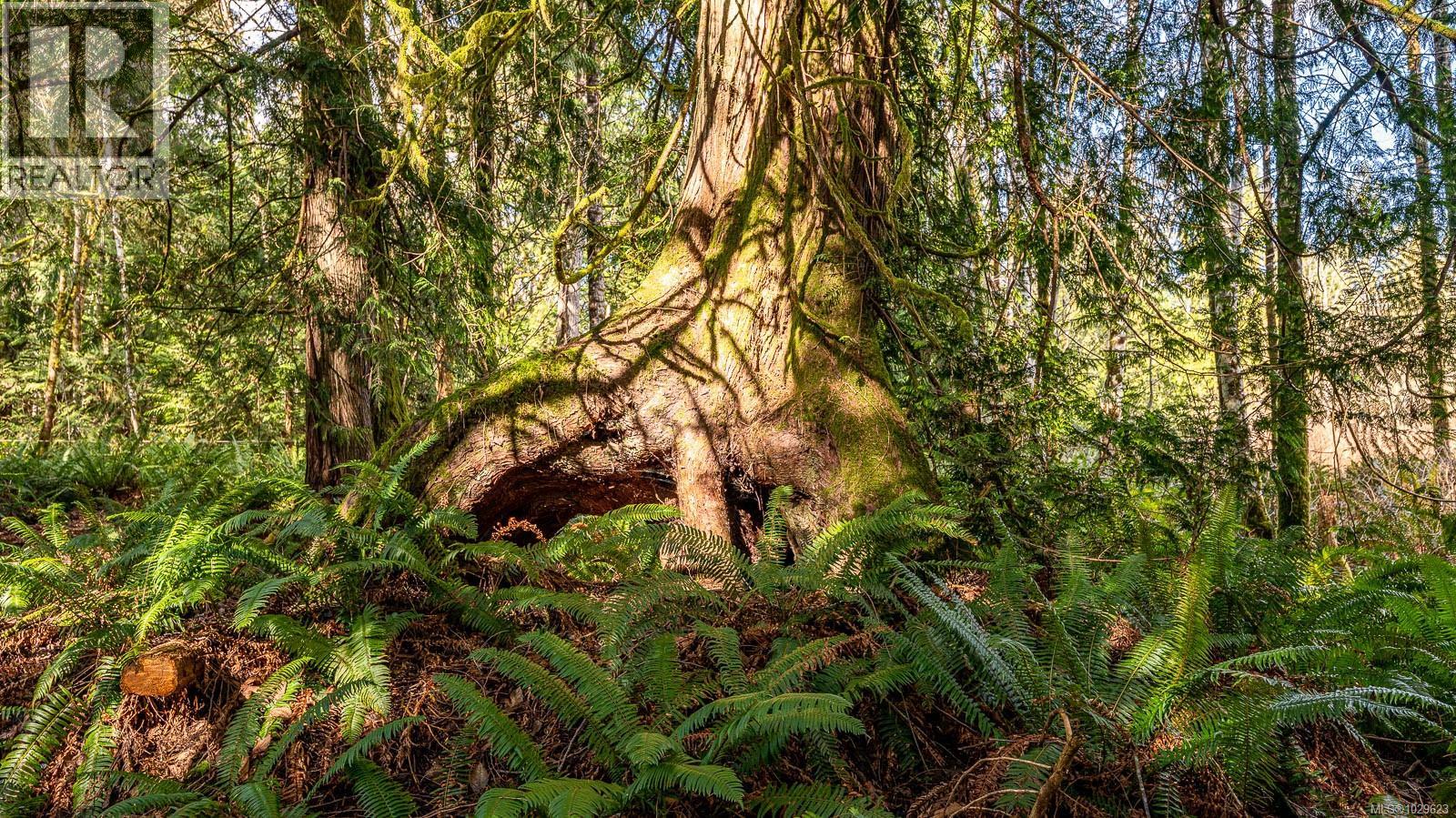 8131 Macartney Dr, Fanny Bay