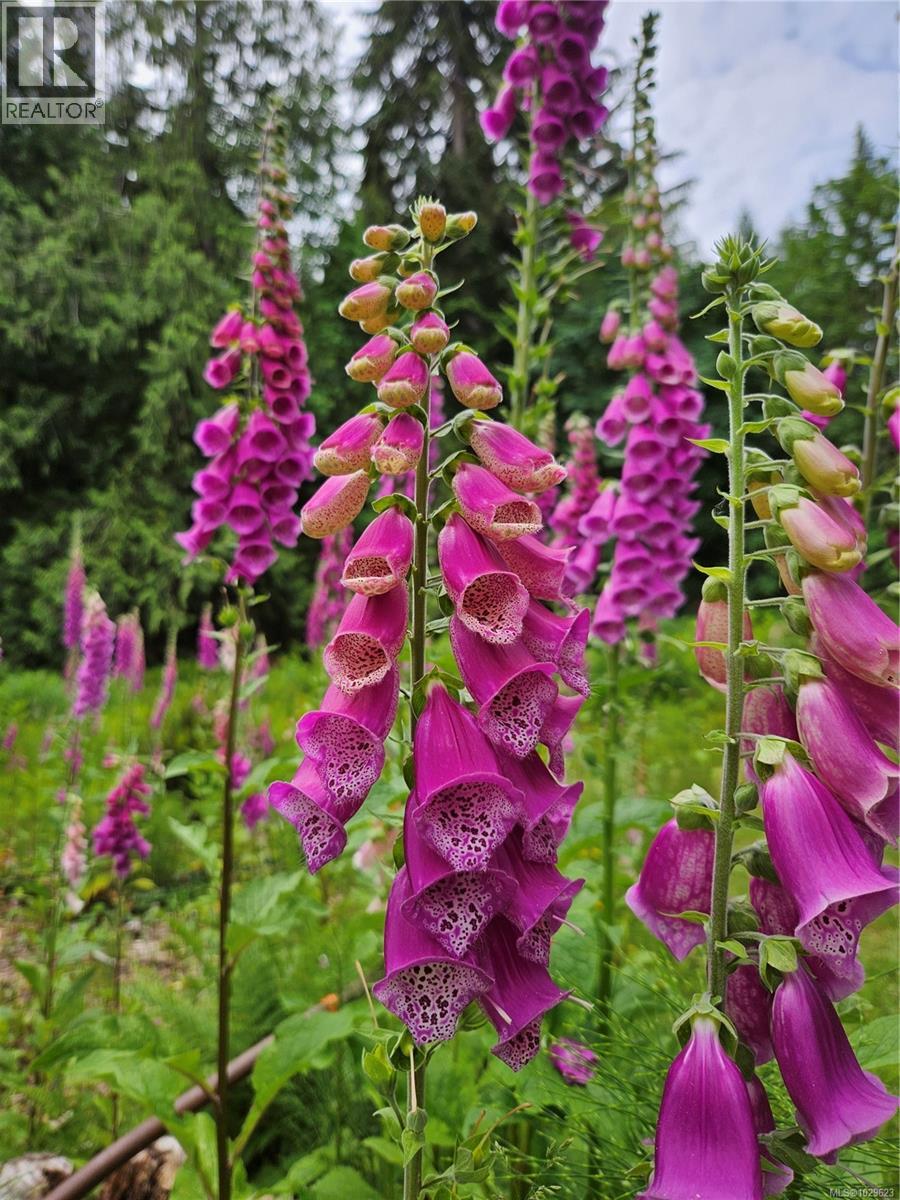 8131 Macartney Dr, Fanny Bay