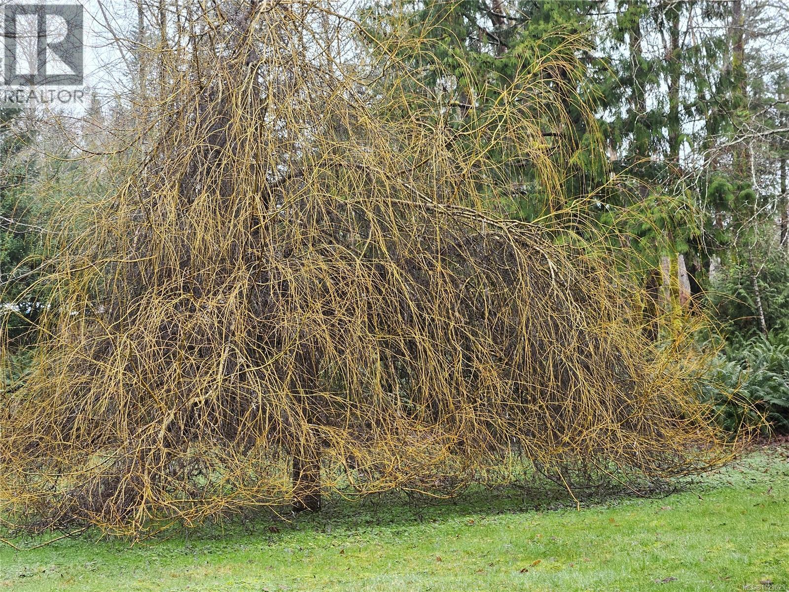 8131 Macartney Dr, Fanny Bay