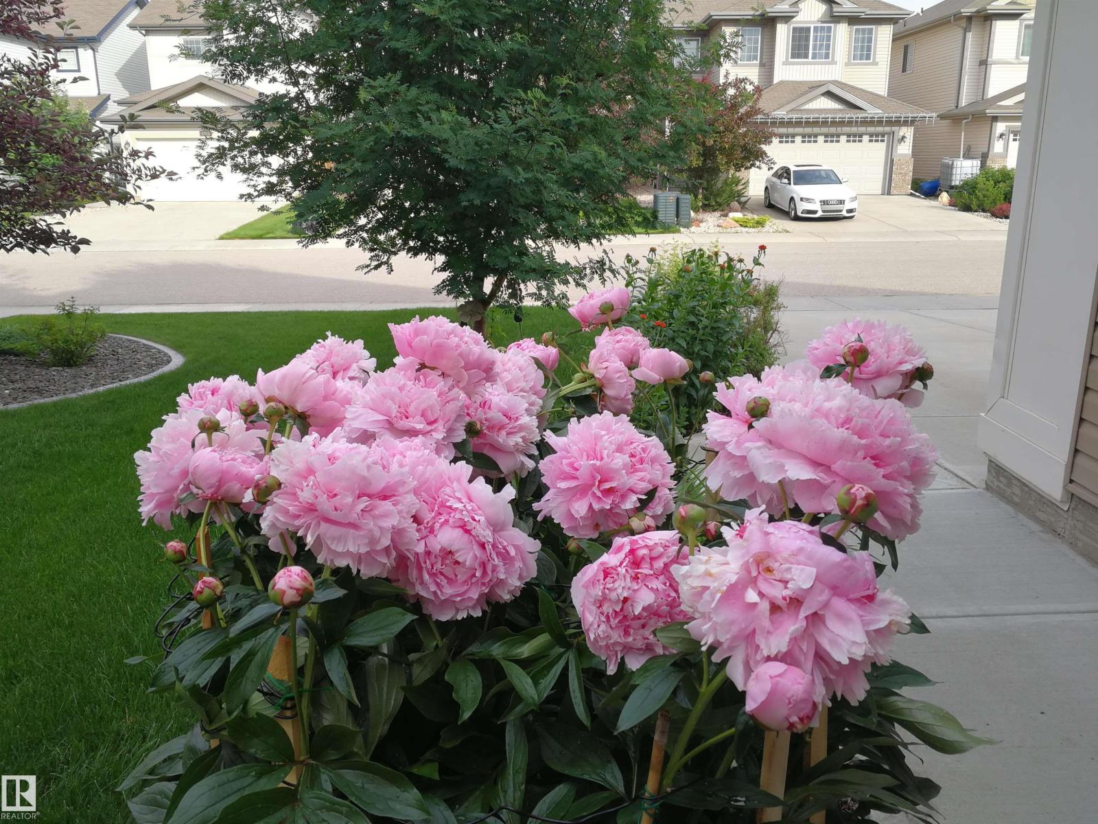 1330 114B ST SW, Edmonton