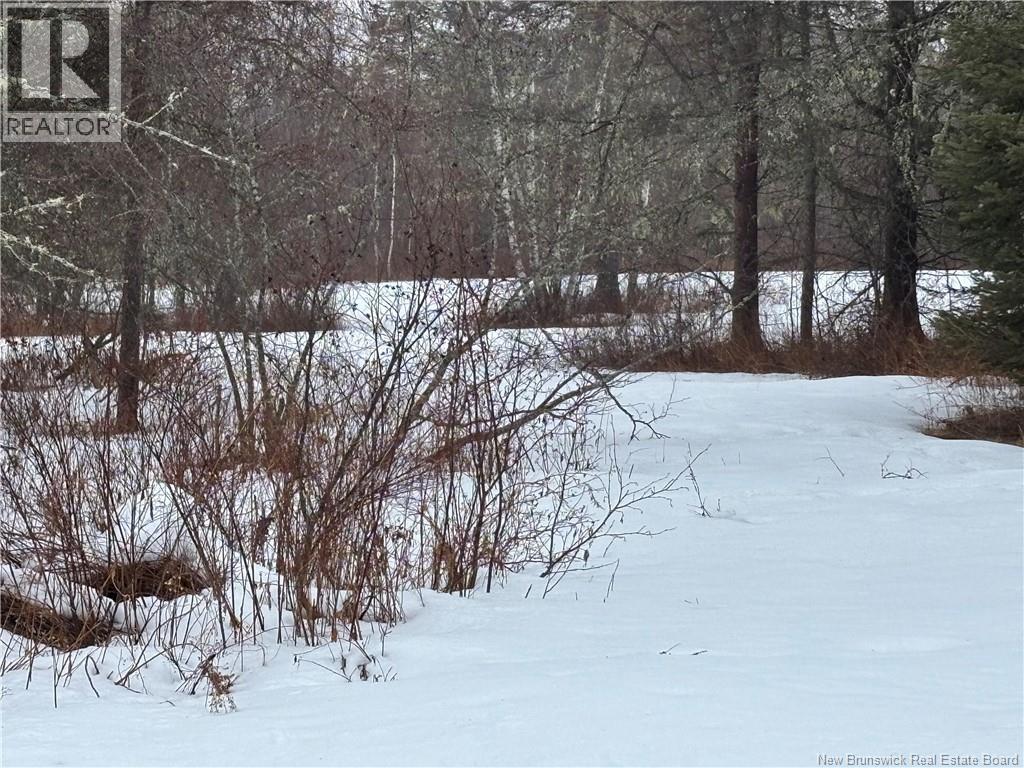 Photo 18 of 30