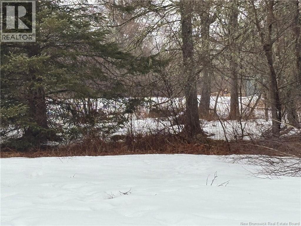 Photo 19 of 30