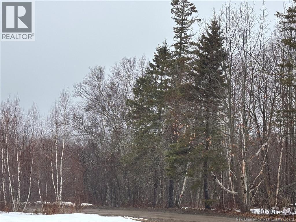 Photo 20 of 30