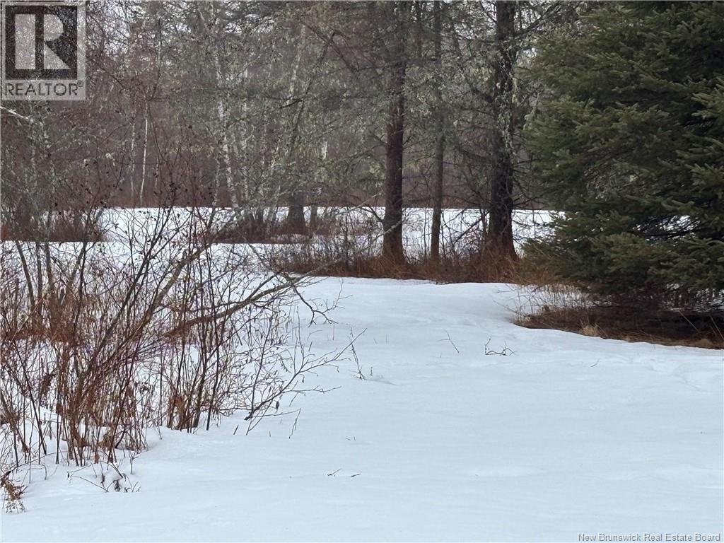 Photo 23 of 30