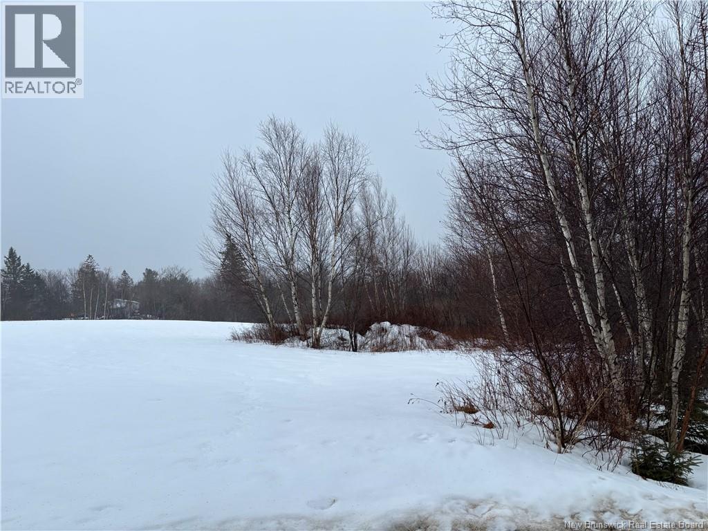 Photo 24 of 30
