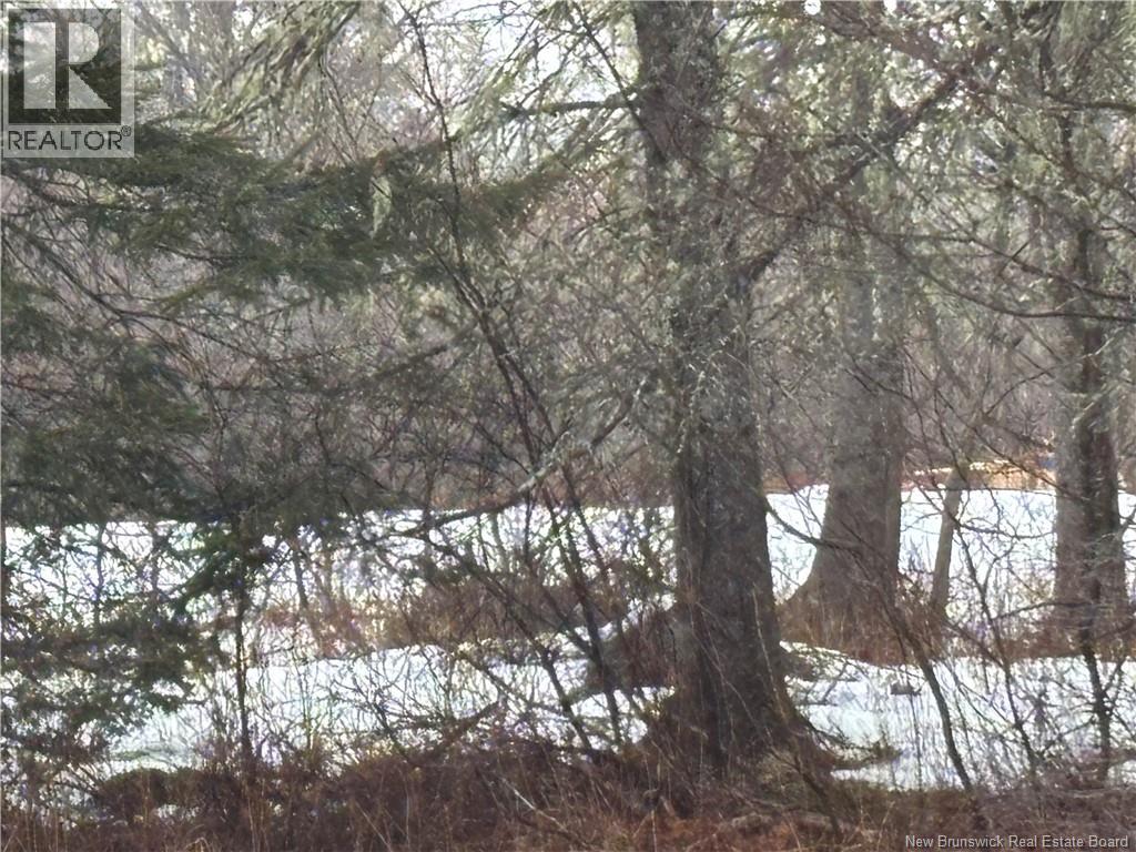 Photo 27 of 30