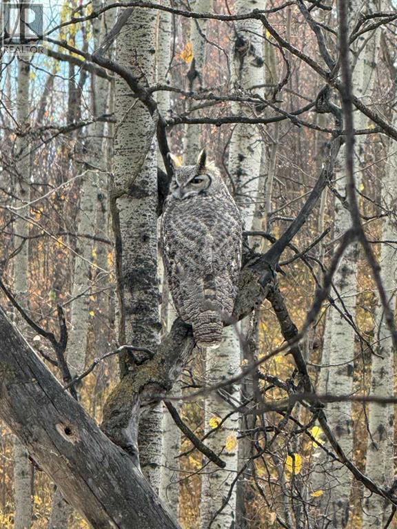 Single Family House for Sale in  Chaparral Ridge Park SE Chaparral Calgary 