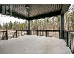10 Cottonwood Street, Springwater, ON L0L1Y2 Photo 23