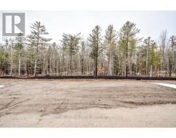 10 Cottonwood Street, Springwater, ON L0L1Y2 Photo 24