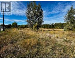 3850 Swamp Road, Kelowna, BC V1W4M9 Photo 21