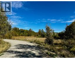 3850 Swamp Road, Kelowna, BC V1W4M9 Photo 28