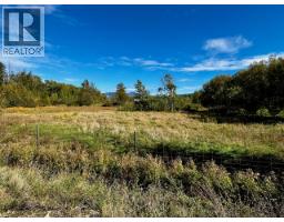 3850 Swamp Road, Kelowna, BC V1W4M9 Photo 29