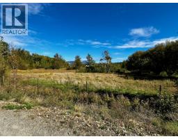 3850 Swamp Road, Kelowna, BC V1W4M9 Photo 33
