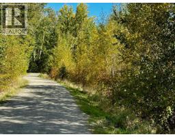 3850 Swamp Road, Kelowna, BC V1W4M9 Photo 36