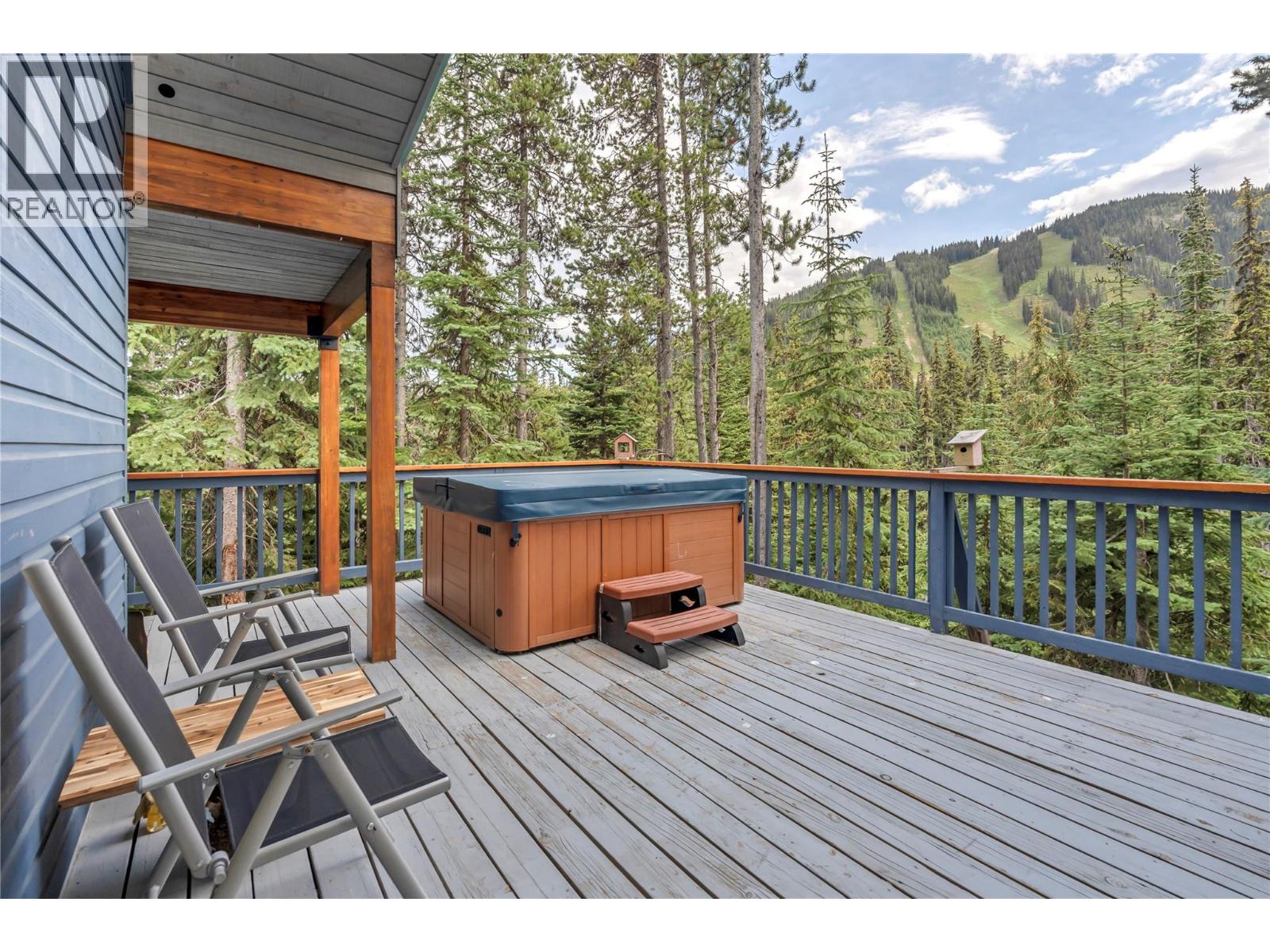 1417 Apex Mountain Road - 30