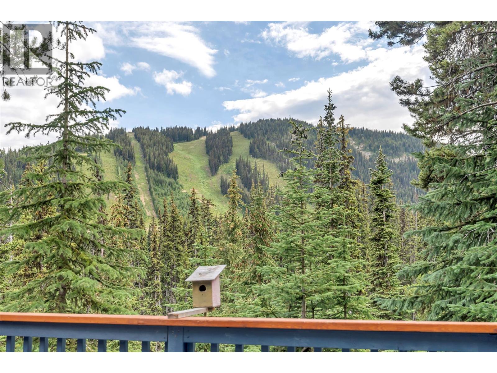 1417 APEX MOUNTAIN ROAD - 4