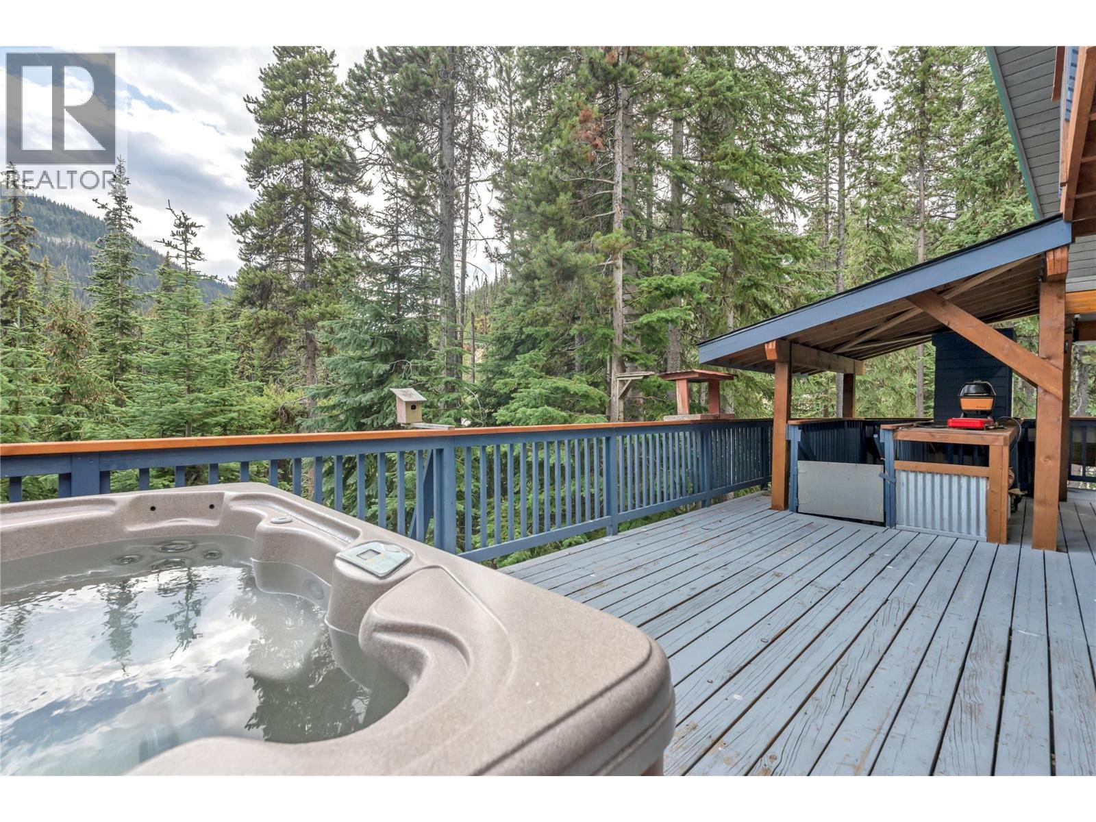 1417 Apex Mountain Road - 3