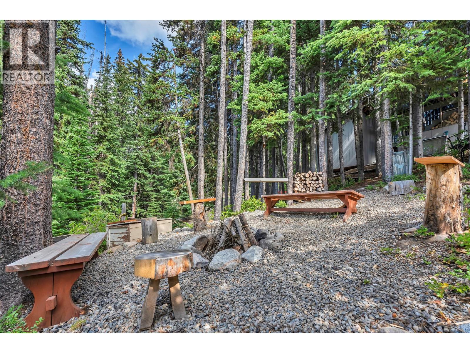 1417 Apex Mountain Road - 57