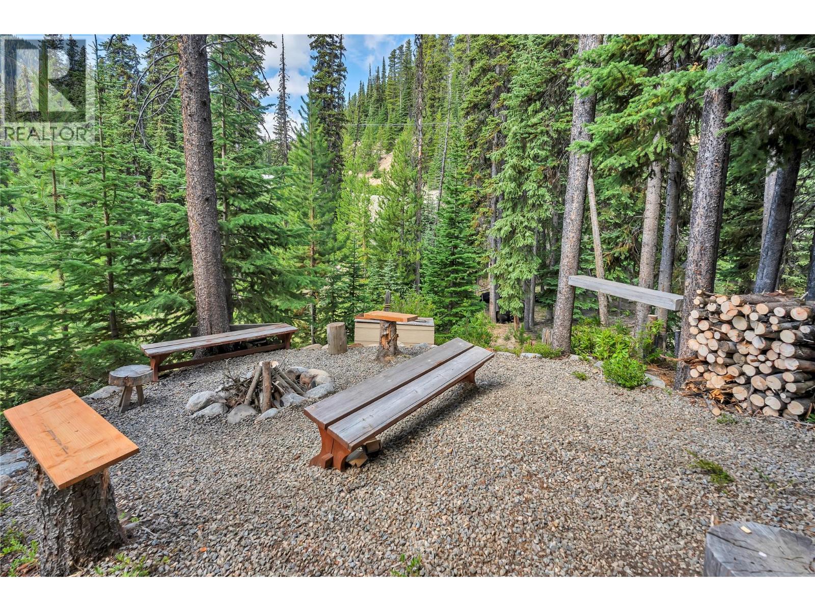 1417 Apex Mountain Road - 55