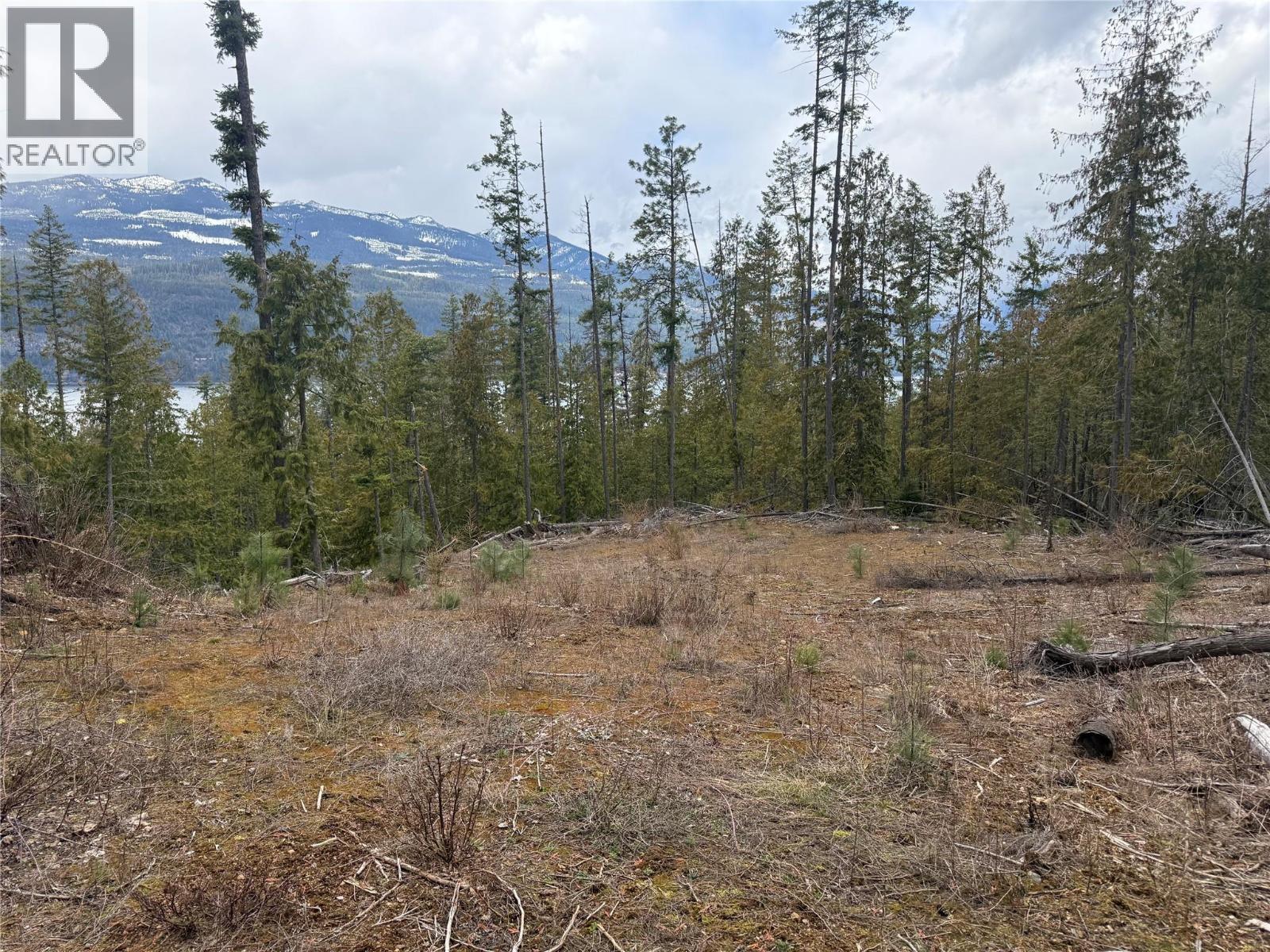 503 Riondel Road, Riondel